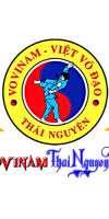 Logo Vovinam VietNam