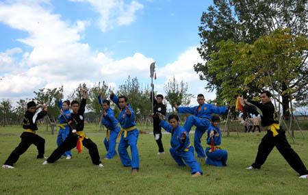 Vovinam và võ cổ truyền Việt Nam đã liên tục tham gia biểu diễn, quảng bá tại Festival võ thuật truyền thống thế giới 