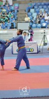 Competitions - Vovinam World Championship 2017 India