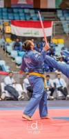 Competitions - Vovinam World Championship 2017 India