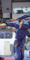 Competitions - Vovinam World Championship 2017 India