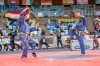 Competitions - Vovinam World Championship 2017 India