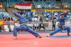 Competitions - Vovinam World Championship 2017 India