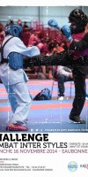 Martial Arts Posters - Prints