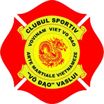 Vovinam - Romania - club VO DAO - Vaslui